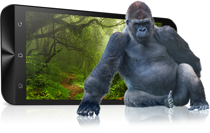 gorilla.png