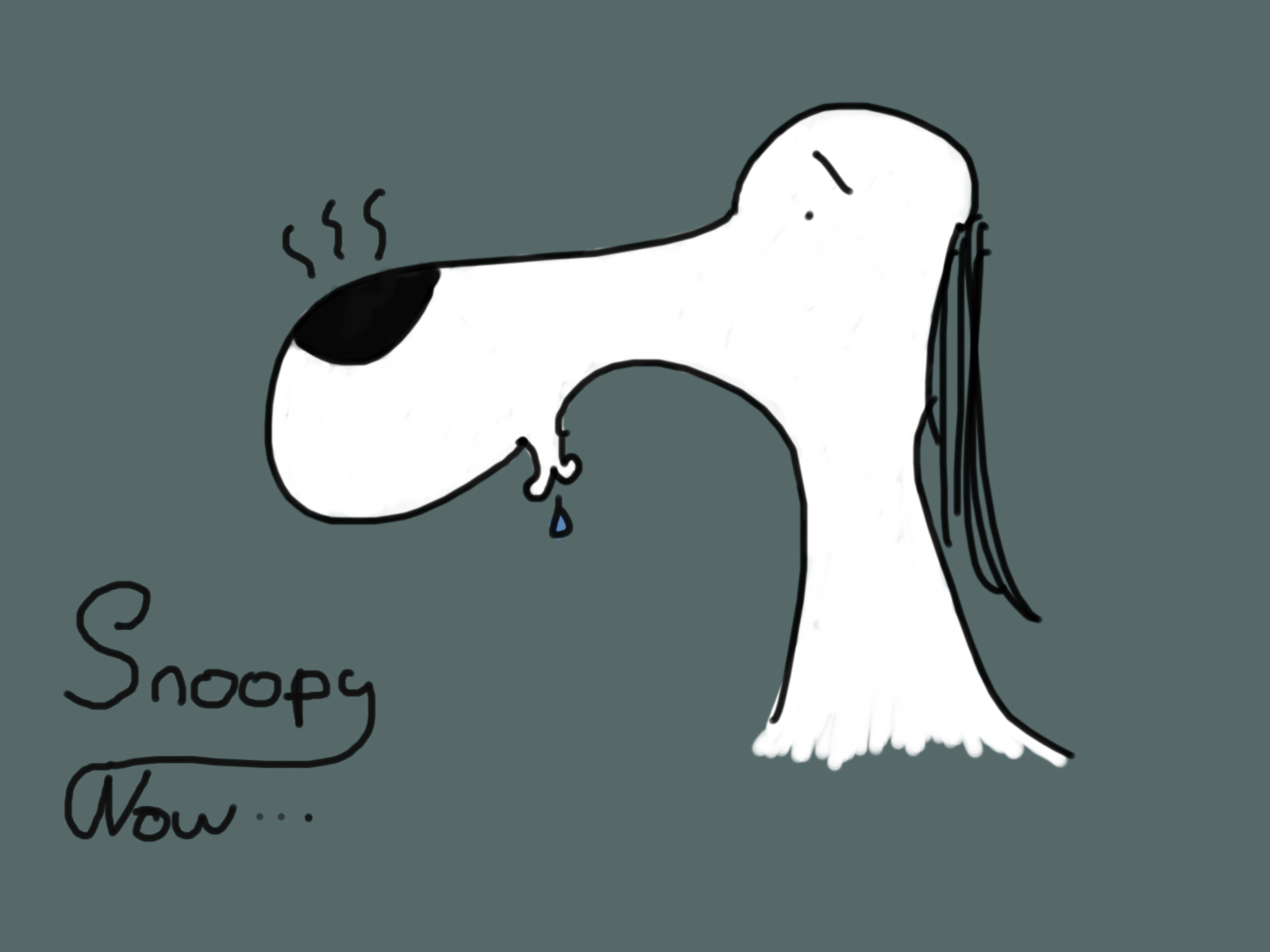 Snoopy en vieux.jpg