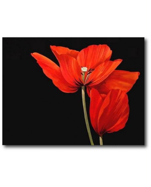 tableau-coquelicots-500x620.jpg