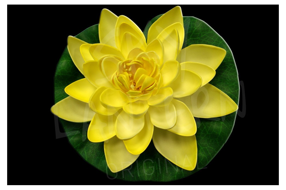 lotus-natural-jaune.jpg