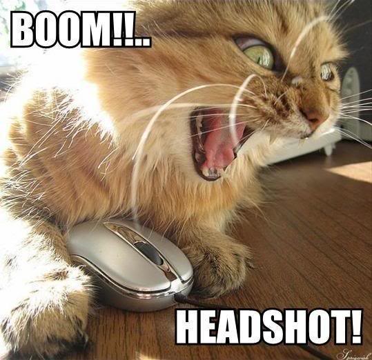 boom_headshot_cat-jpg.4855