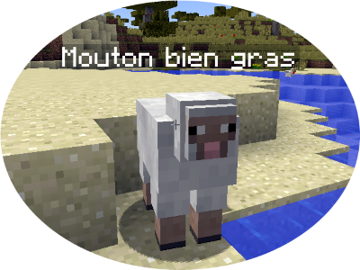 moutonbiengras.png