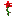 :redflower: